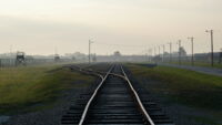 5811_6.jpg