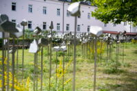 5567_0.jpg