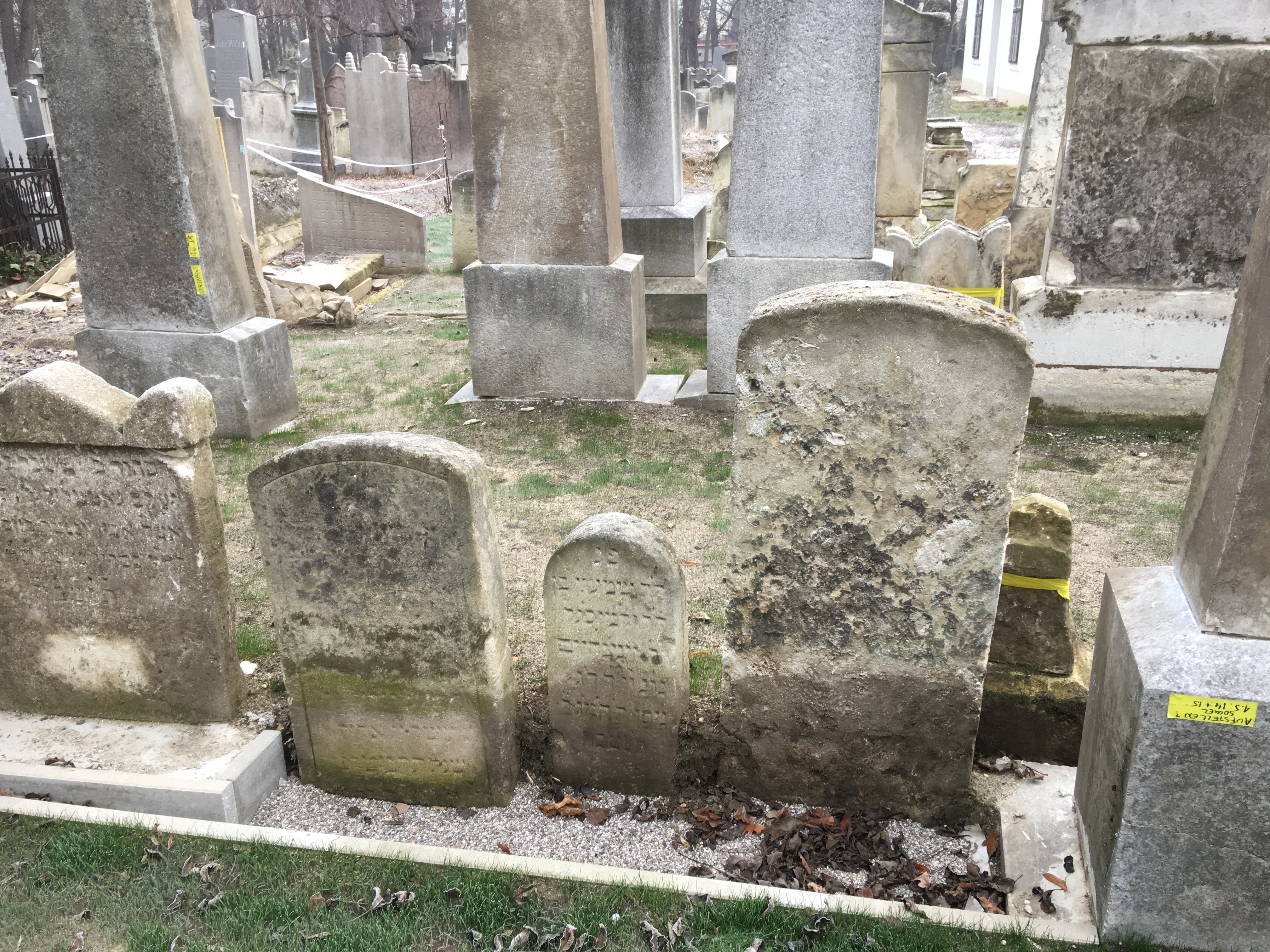 Instandsetzungen auf dem Jüdischen Friedhof Währing 2020. Foto: Nationalfonds/Seidinger